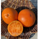 Насіння томату Гном Помаранчева гордість (Dwarf Orange Pride) 10 шт Насіння томату Гном Помаранчева гордість (Dwarf Orange Pride) 10 шт