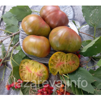 Семена томата Гном Багряный закат (Dwarf Crimson Sunset) 10 шт Семена томата Гном Багряный закат (Dwarf Crimson Sunset) 10 шт