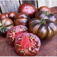 Семена томата Гном Карлик Стринги (The Thong Dwarf) 10 шт Семена томата Гном Карлик Стринги (The Thong Dwarf) 10 шт