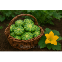 Семена патиссона Зебра 15 семян Семена патиссона Зебра 15 семян