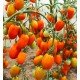 Насіння томату Медовий подарунок F1 10 шт Насіння томату Медовий подарунок F1 10 шт