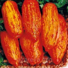 Насіння томату Перцевидний полосатий 30 насінин