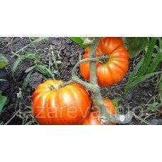 Насіння томату Геллон 30 нас
