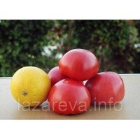 Семена томата Черноморский гигант 60 сем Семена томата Черноморский гигант 60 сем