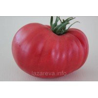 Насіння томату Гігант Болгарії 15 шт Насіння томату Гігант Болгарії 15 шт