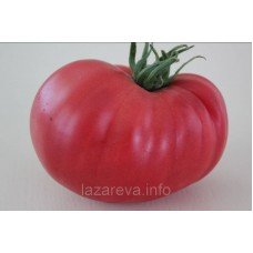 Насіння томату Гігант Болгарії 15 шт