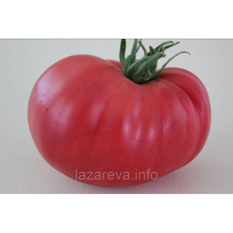 Насіння томату Гігант Болгарії 15 шт Насіння томату Гігант Болгарії 15 шт