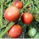 Семена томата Малиновый ожаровский 30 сем Семена томата Малиновый ожаровский 30 сем