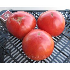Насіння томату Містер Андервуд 30 нас