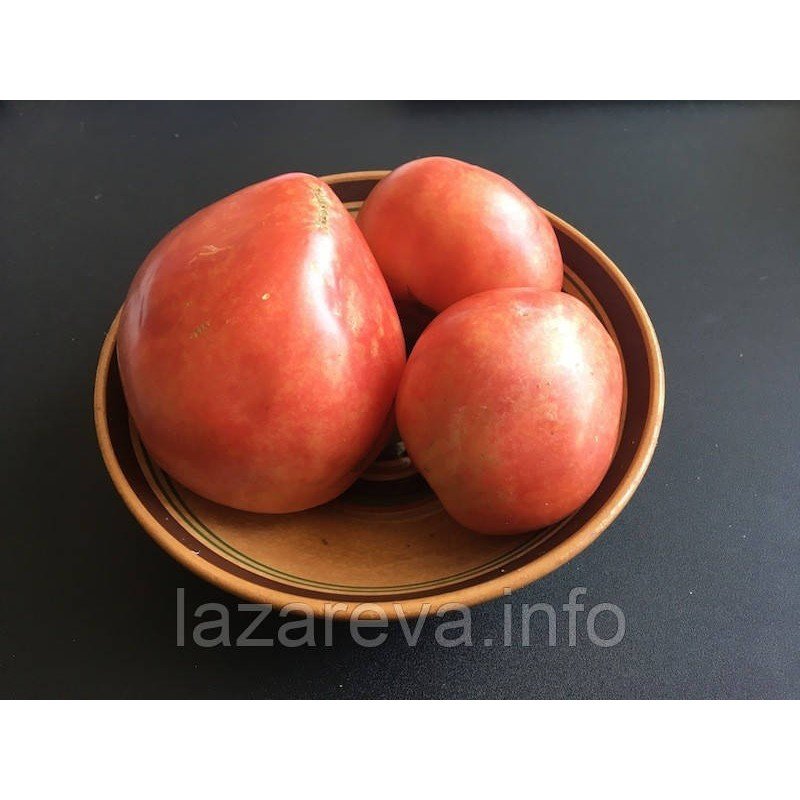 Семена томата Милорд 15 семян Семена томата Милорд 15 семян