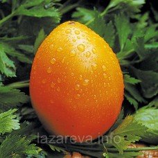 Насіння томату Динний 15 шт