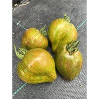Семена томата Мармеладное Искушение 5 семян