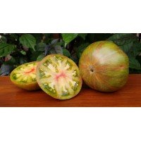 Семена помидора Карлик Мятные полосы (Dwarf Peppermint Stripes) 50 семян
