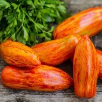 Семена помидора Карлик Полосатый перец (Dwarf Pepper Striped) 50 семян