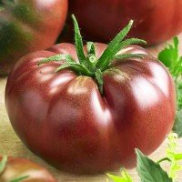 Семена сердцевидного томата Бычье сердце шоколадное 0,1 гр (15 семян