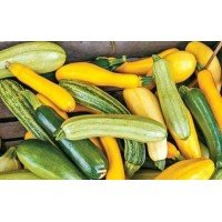 Семена кабачков Смесь сортов 5 г