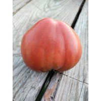 Семена томата Гном Сердце Бадди (Dwarf Buddy’s Heart) 10 семян