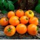 Семена томата Гном Оранжевая гордость (Dwarf Orange Pride) 10 семян
