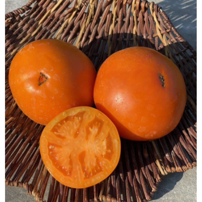 Семена томата Гном Оранжевая гордость (Dwarf Orange Pride) 10 семян