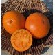 Семена томата Гном Оранжевая гордость (Dwarf Orange Pride) 10 семян