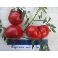 Насіння великоплідного салатного томату Царський улюбленець 30 насінин